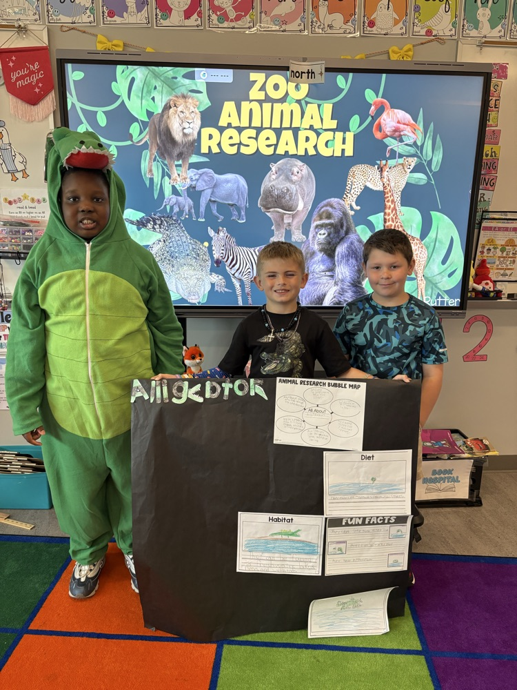 alligator group