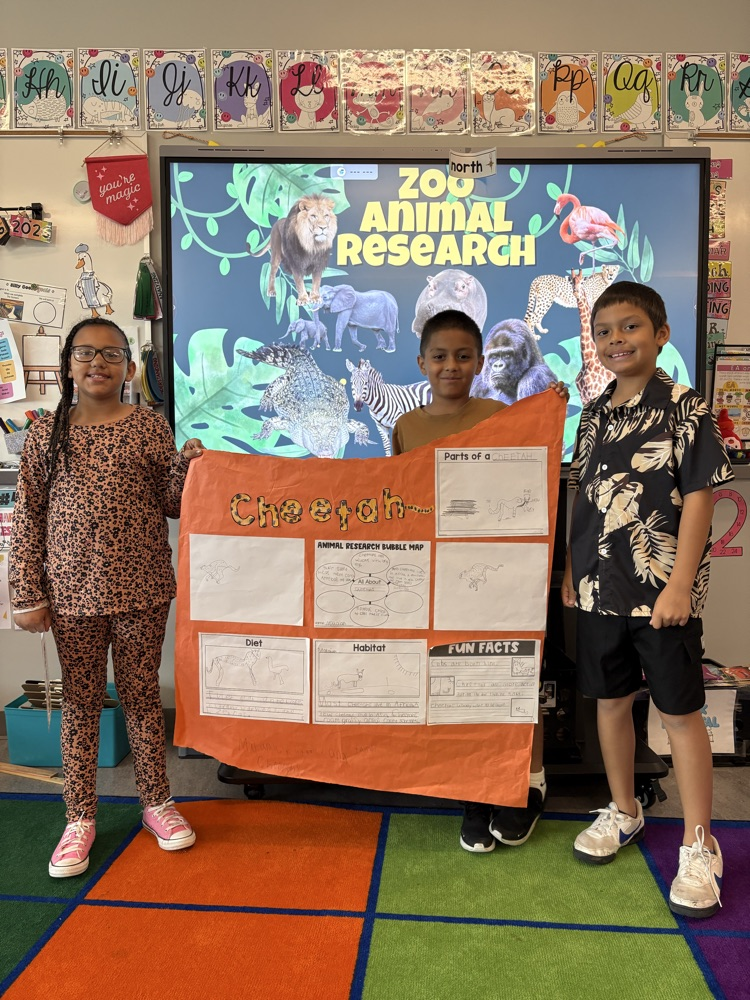 cheetah group