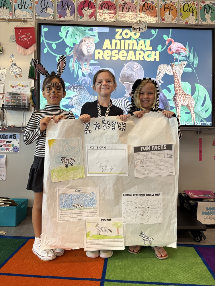 zebra group
