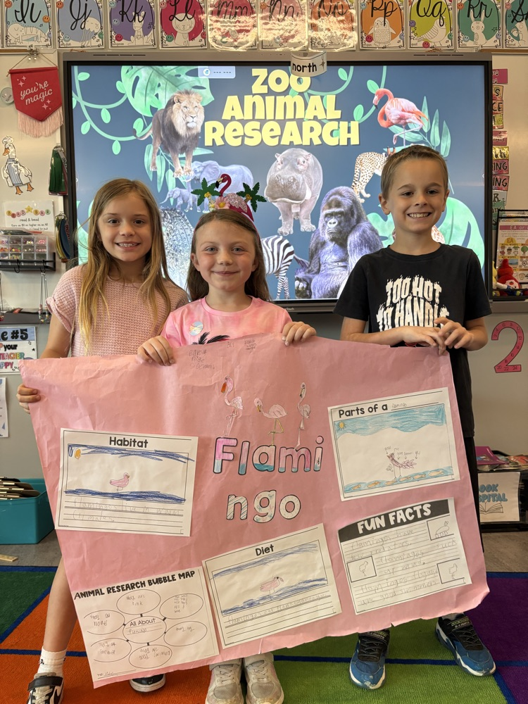 flamingo group