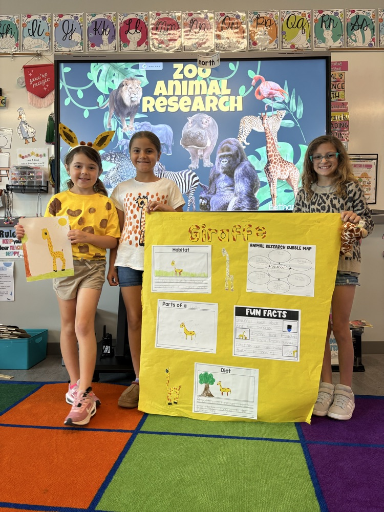 giraffe group