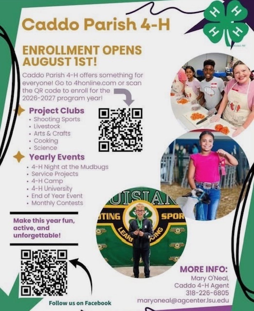 4-H