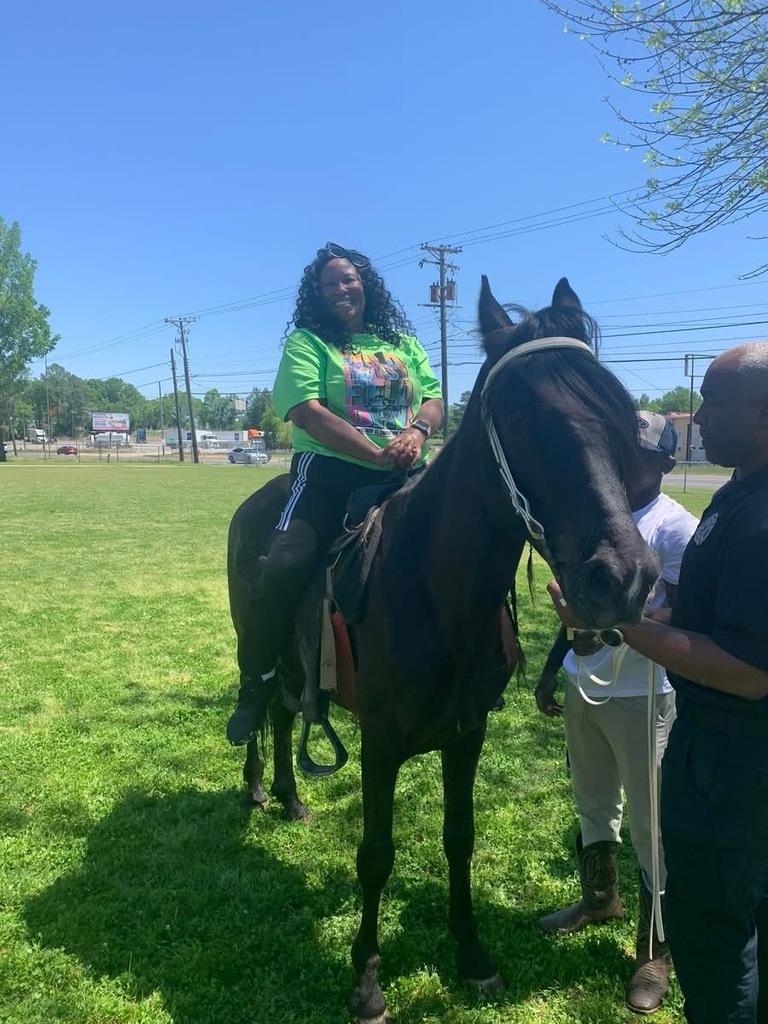 Saddle Up