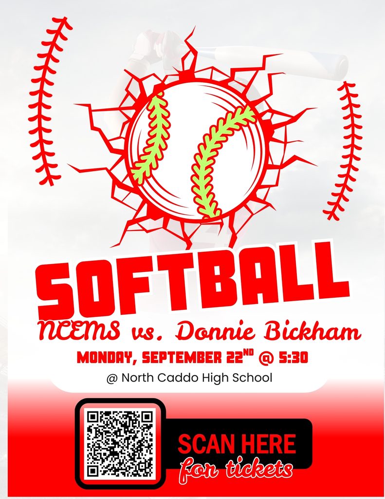 softball ticket flyer