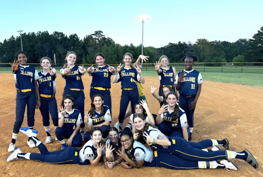 softball pictue