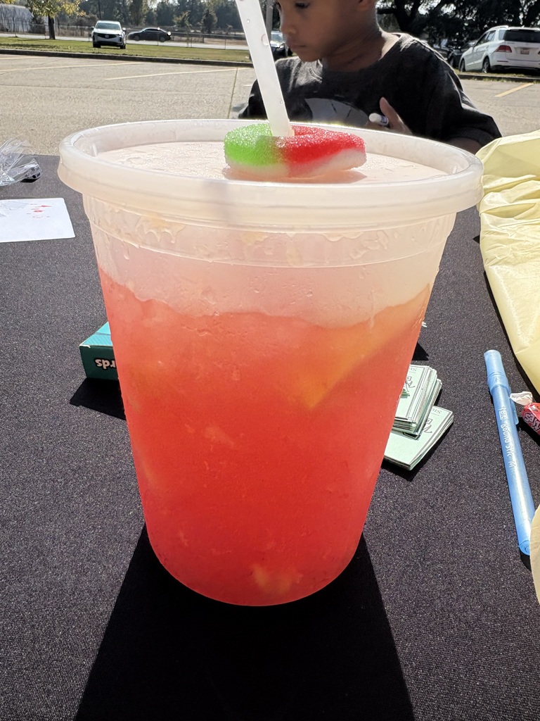 COMMUNITY FALL FESTIVAL 🍂🐎 🍁 📚