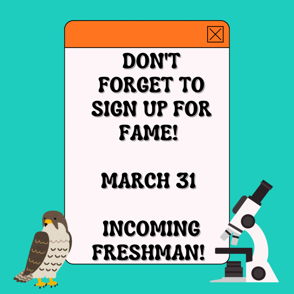 Musk Pink Retro Computer Don't Forget To Instagram Post