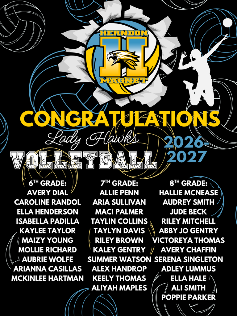 Volleyball