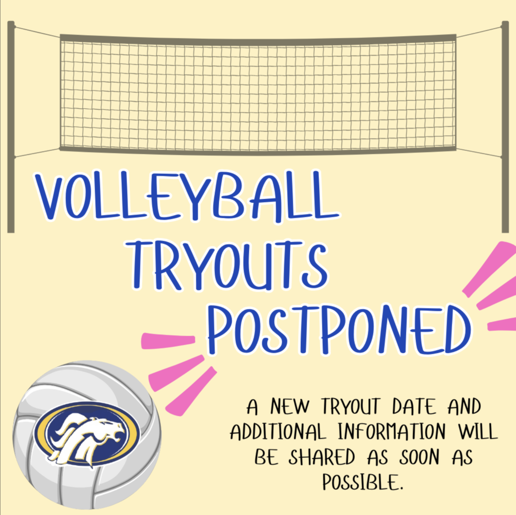 Volleyball tryouts