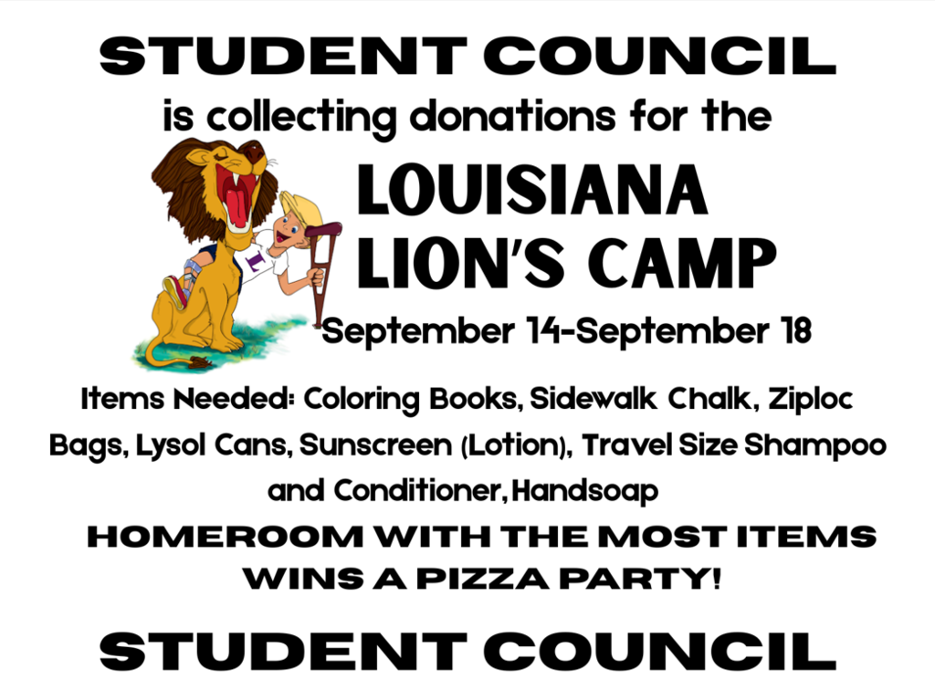 Lion's Camp