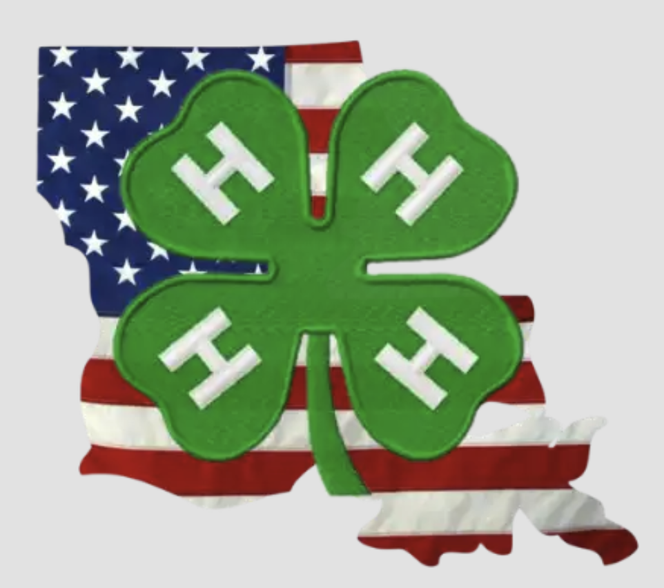4h