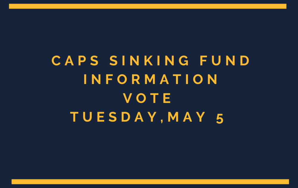 sinking fund information