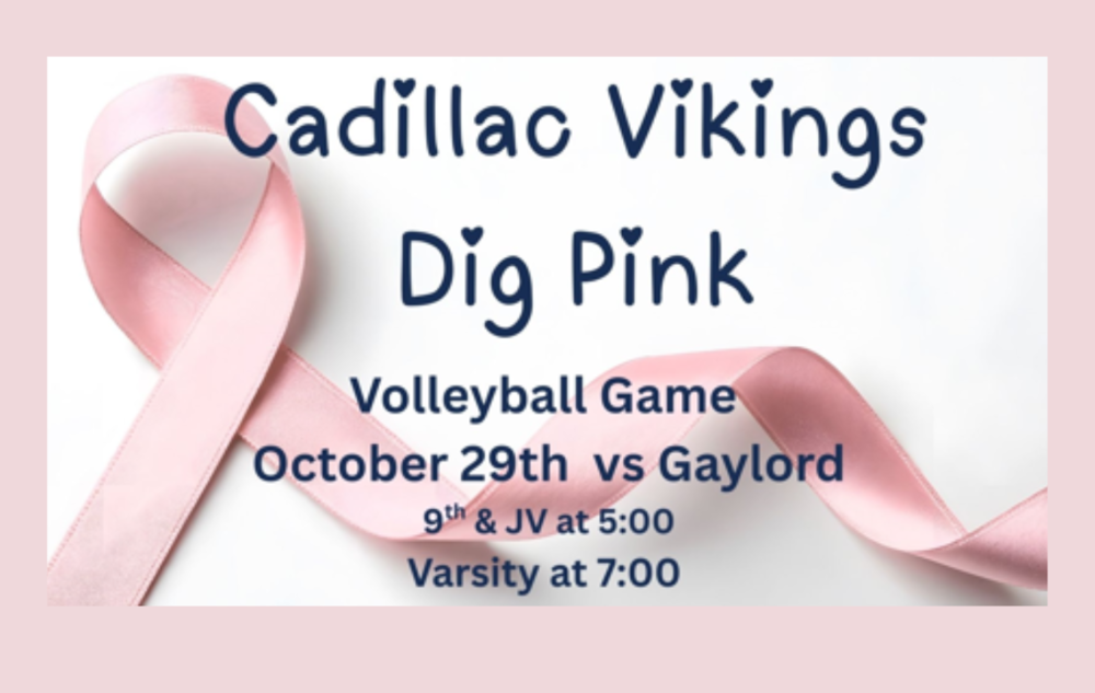 Dig Pink Volleyball match