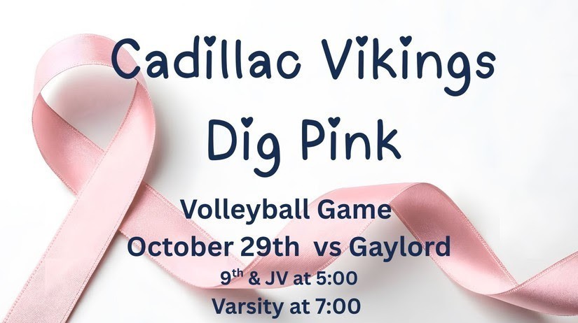 Dig Pink Volleyball game information
