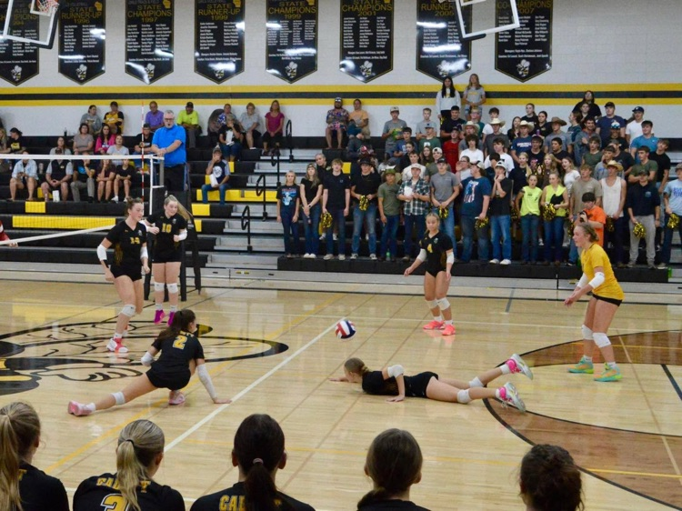 Cadott volleyball