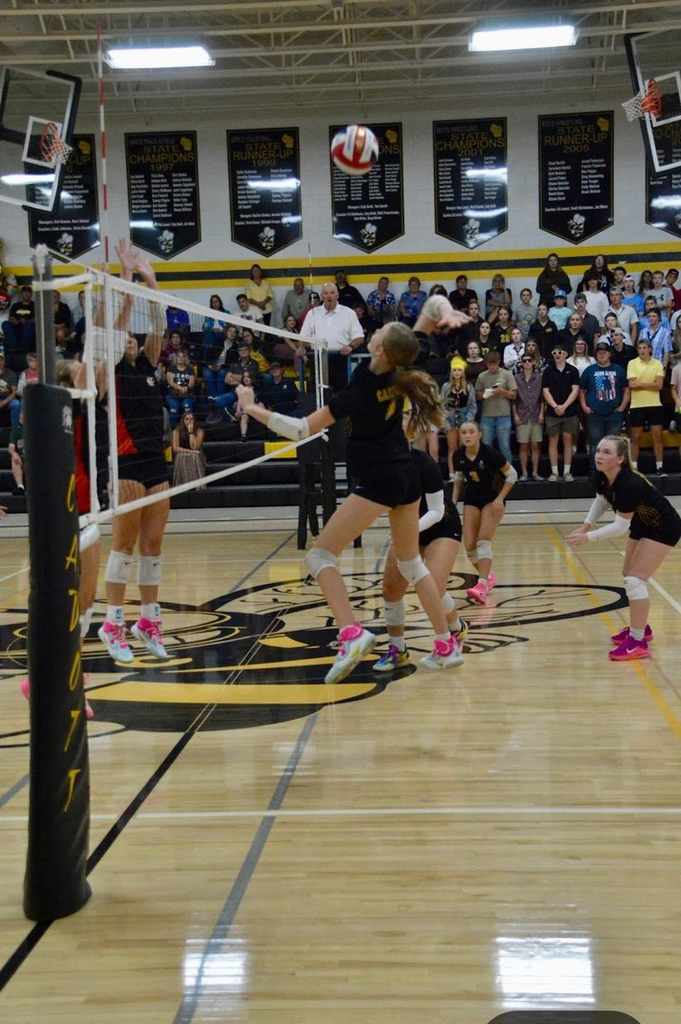 volleyball 