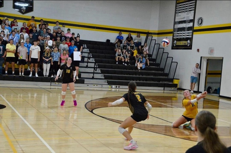 volleyball 