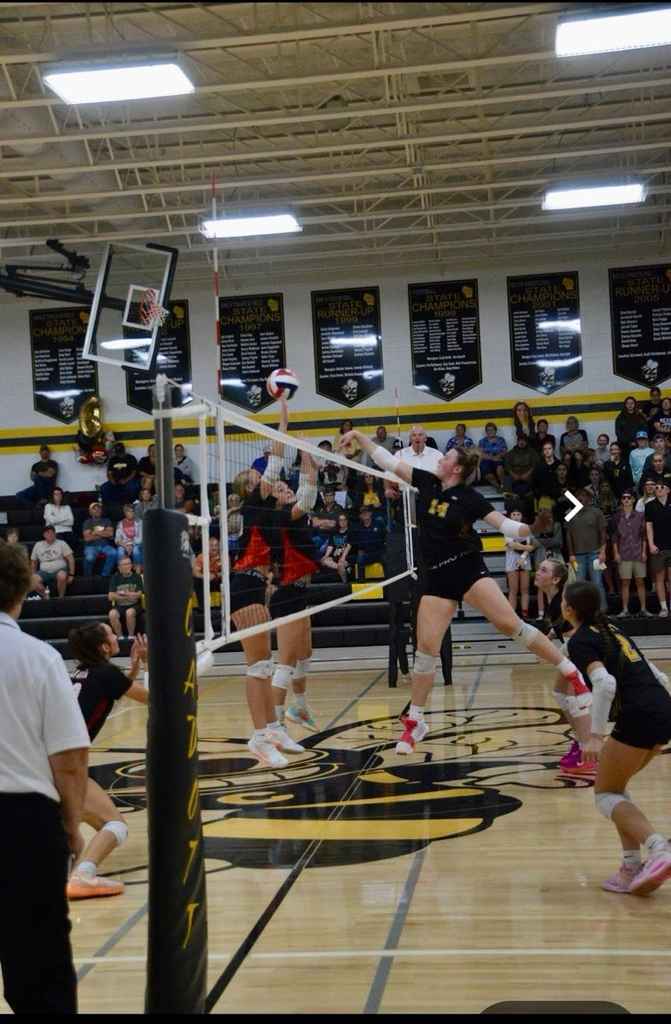 volleyball 