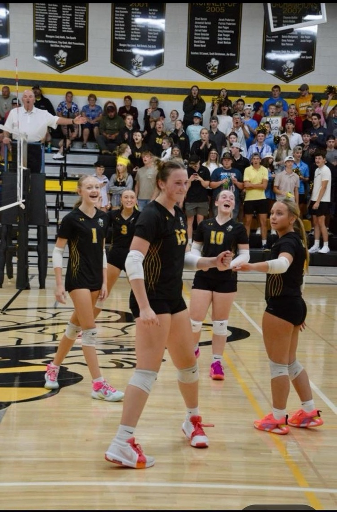 volleyball 