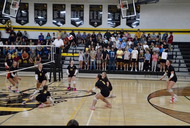 volleyball 