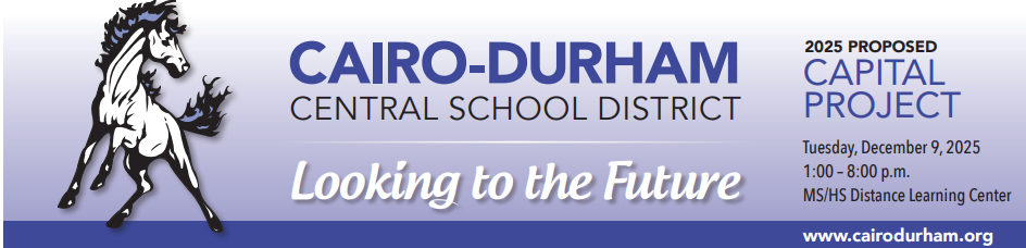 capital project info