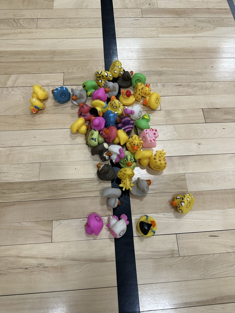 5th grade math review!