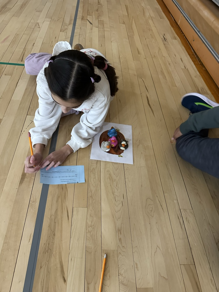 5th grade math review!