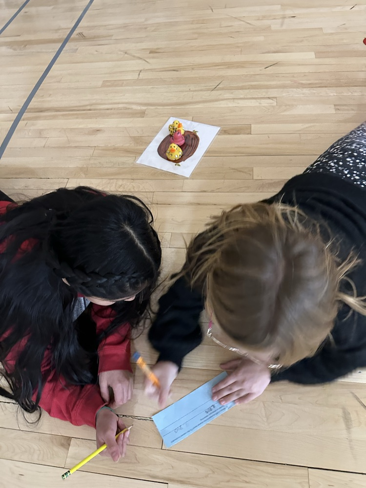 5th grade math review!