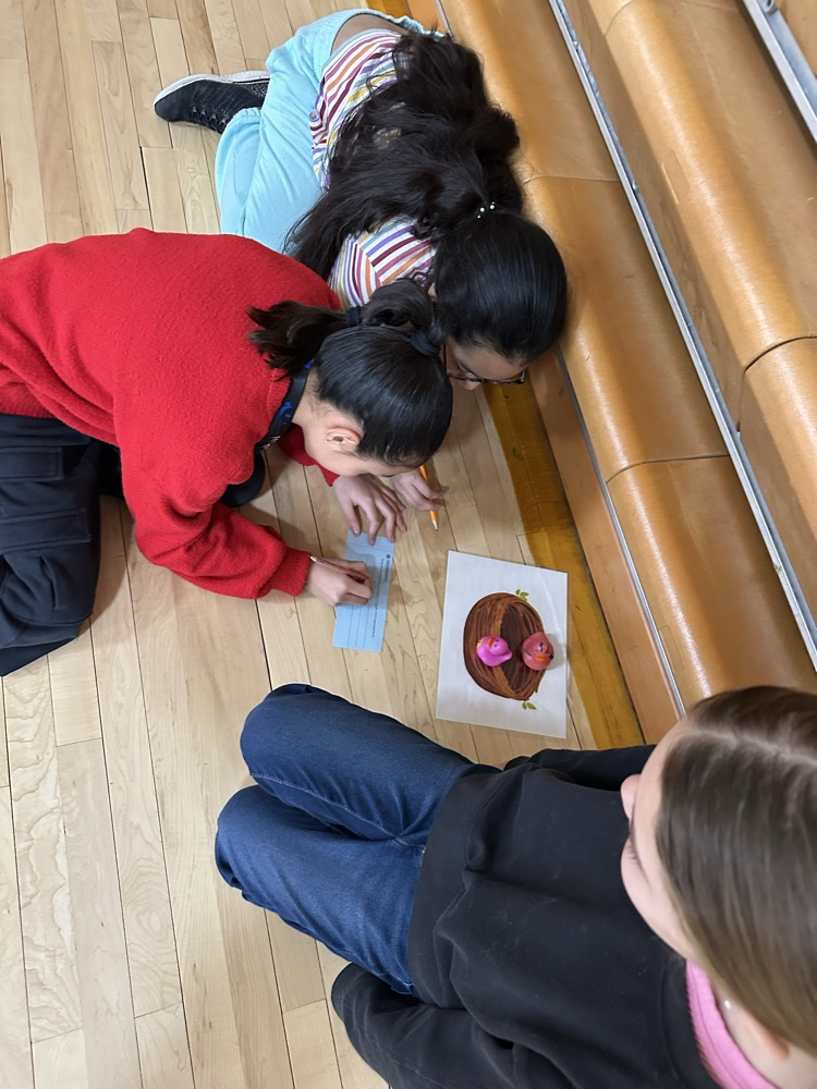 5th grade math review!