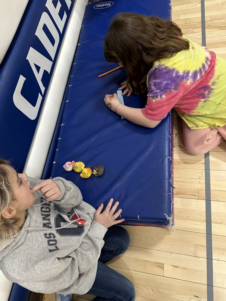 5th grade math review!