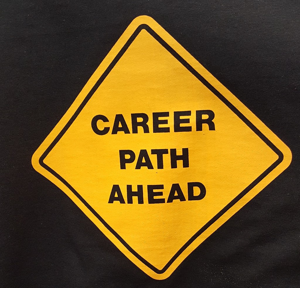 Career path ahead