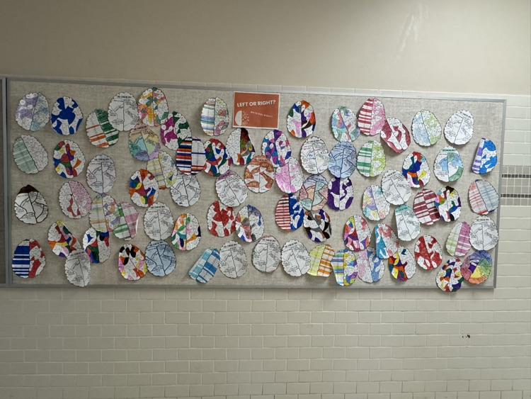 The Middle School dove into a left vs. right brain activity to see what makes each of us tick. Spoiler: both sides are awesome!