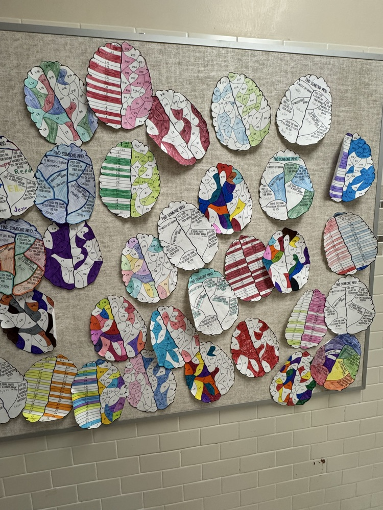 The Middle School dove into a left vs. right brain activity to see what makes each of us tick. Spoiler: both sides are awesome!