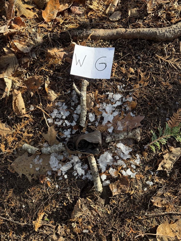 The 7th-grade at CMS created mandala from natural materials last week.