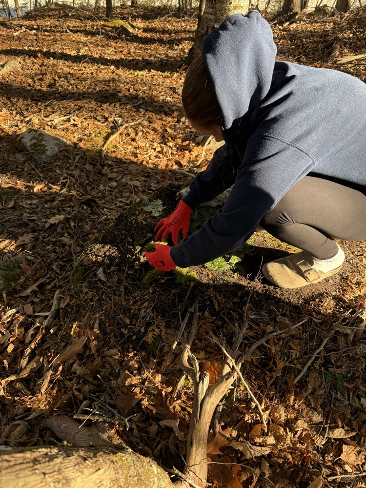 The 7th-grade at CMS created mandala from natural materials last week.