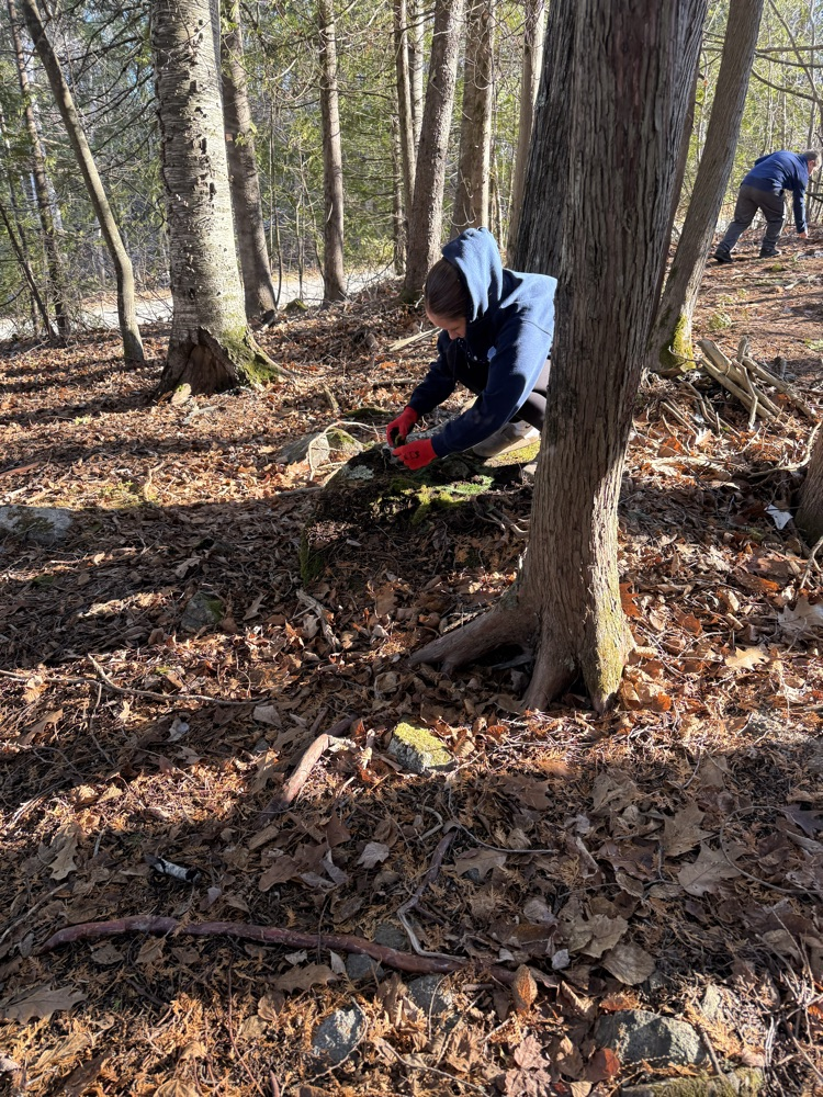 The 7th-grade at CMS created mandala from natural materials last week.