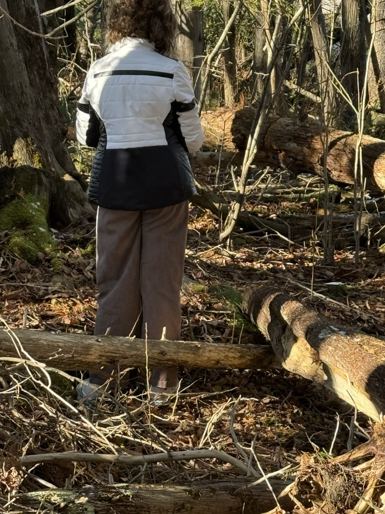 The 7th-grade at CMS created mandala from natural materials last week.