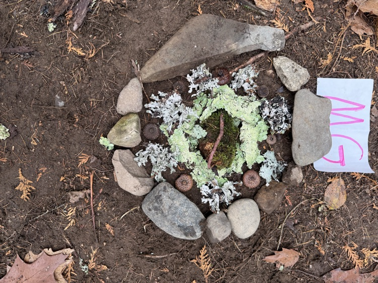 The 7th-grade at CMS created mandala from natural materials last week.