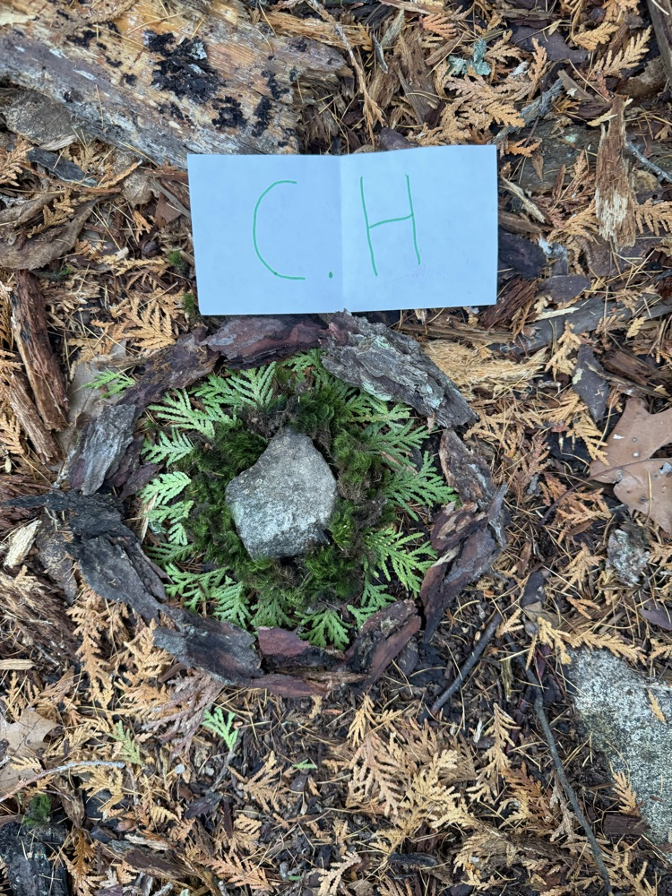The 7th-grade at CMS created mandala from natural materials last week.