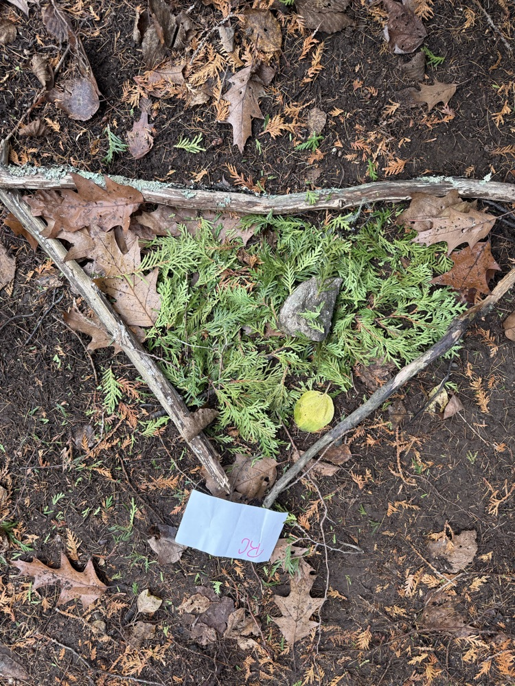 The 7th-grade at CMS created mandala from natural materials last week.