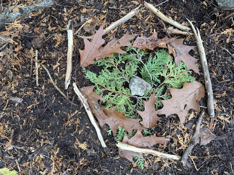 The 7th-grade at CMS created mandala from natural materials last week.