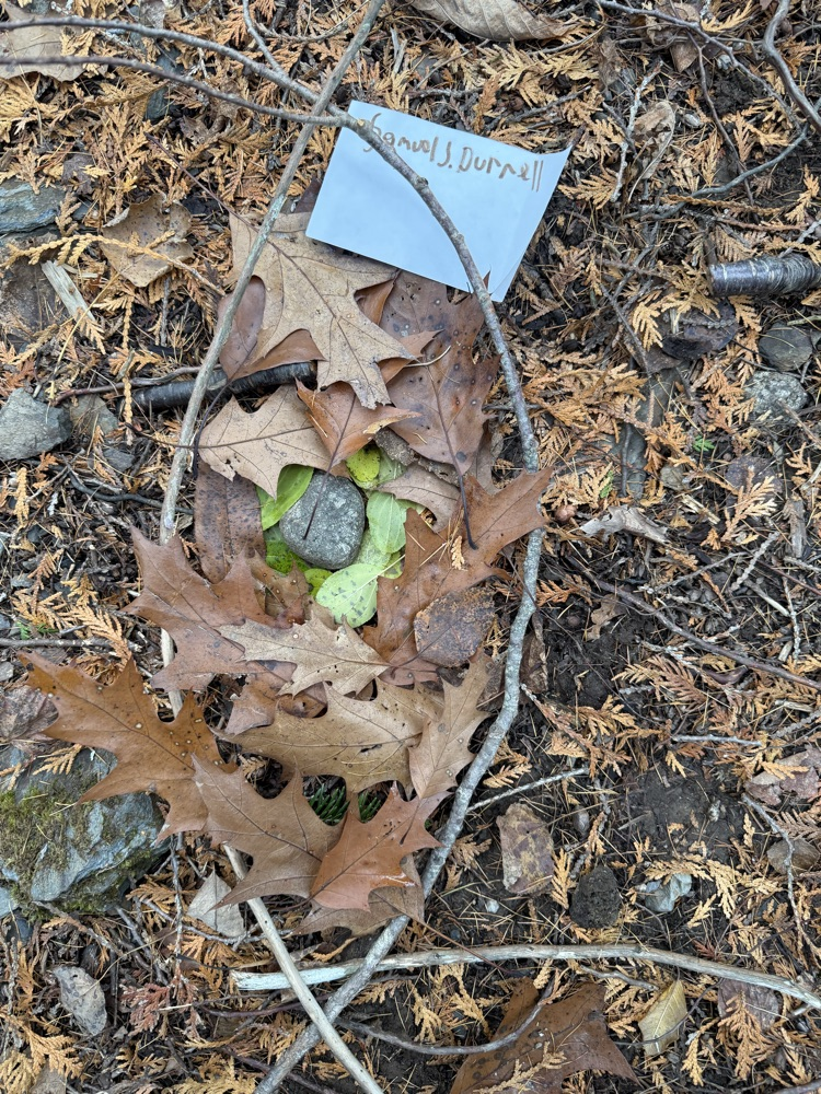 The 7th-grade at CMS created mandala from natural materials last week.