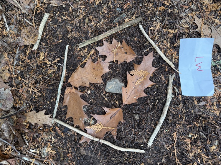 The 7th-grade at CMS created mandala from natural materials last week.