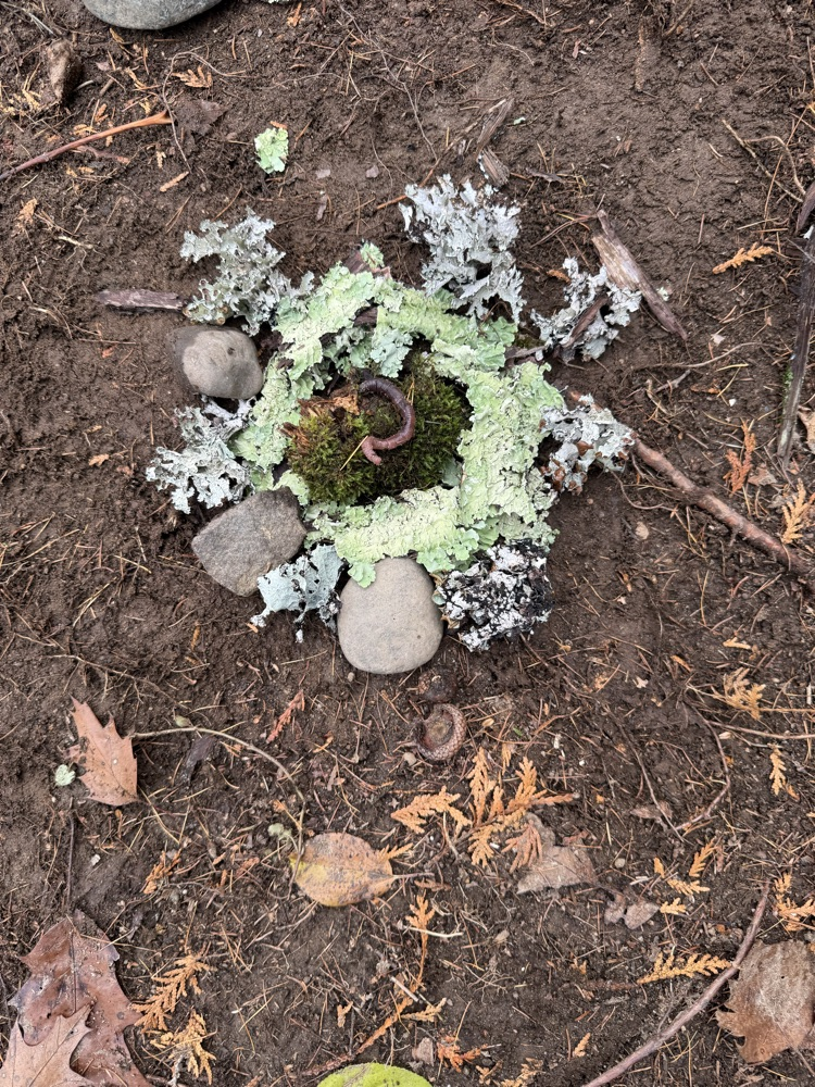 The 7th-grade at CMS created mandala from natural materials last week.