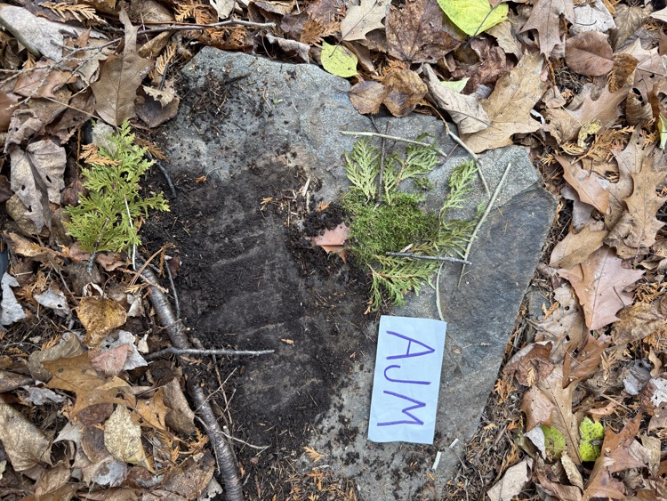 The 7th-grade at CMS created mandala from natural materials last week.