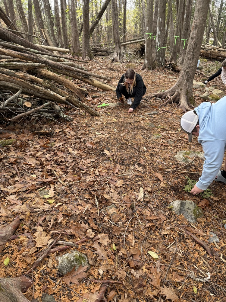 The 7th-grade at CMS created mandala from natural materials last week.