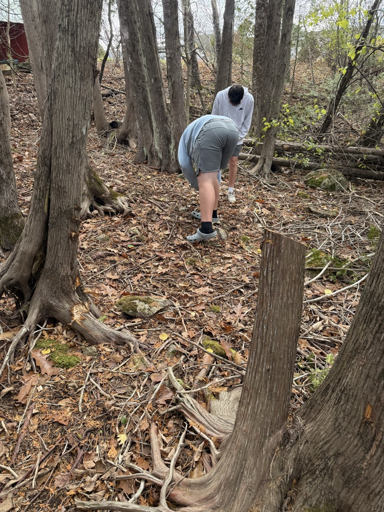 The 7th-grade at CMS created mandala from natural materials last week.