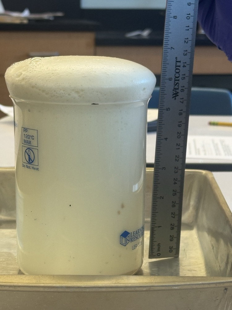 Today during middle school science, 7th grade students learned about chemical reactions. They got to experience elephant toothpaste, observing exothermic reaction along with seeing gas and bubbles produced from the reaction. 