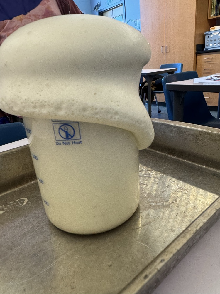 Today during middle school science, 7th grade students learned about chemical reactions. They got to experience elephant toothpaste, observing exothermic reaction along with seeing gas and bubbles produced from the reaction. 
