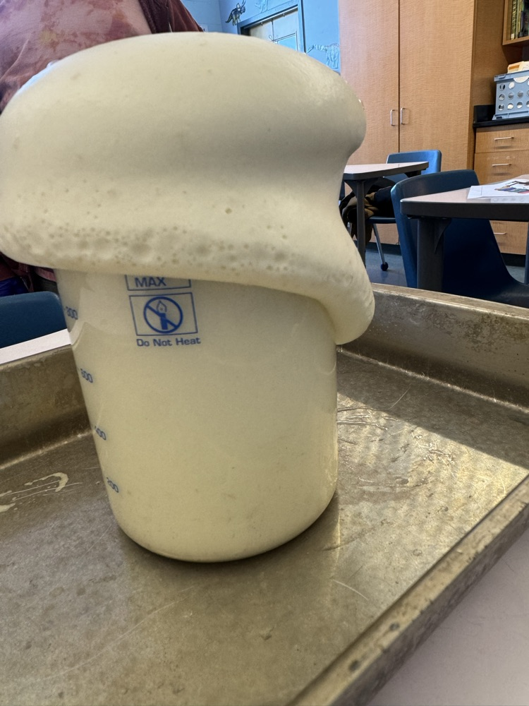 Today during middle school science, 7th grade students learned about chemical reactions. They got to experience elephant toothpaste, observing exothermic reaction along with seeing gas and bubbles produced from the reaction. 